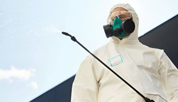Pest Control Maude